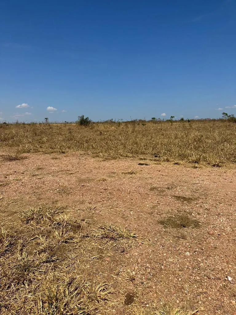 Fazenda à venda de 1.950 ha em Diamantino, MT, Brasil