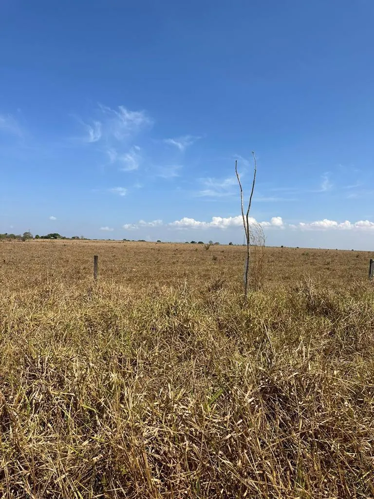 Fazenda à venda de 1.950 ha em Diamantino, MT, Brasil
