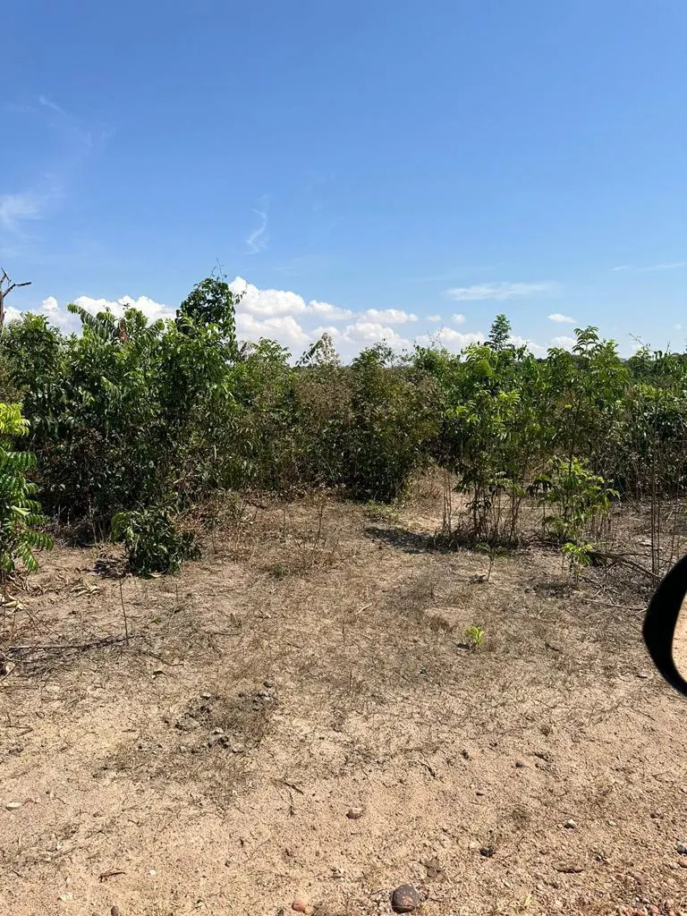 Fazenda à venda de 1.950 ha em Diamantino, MT, Brasil