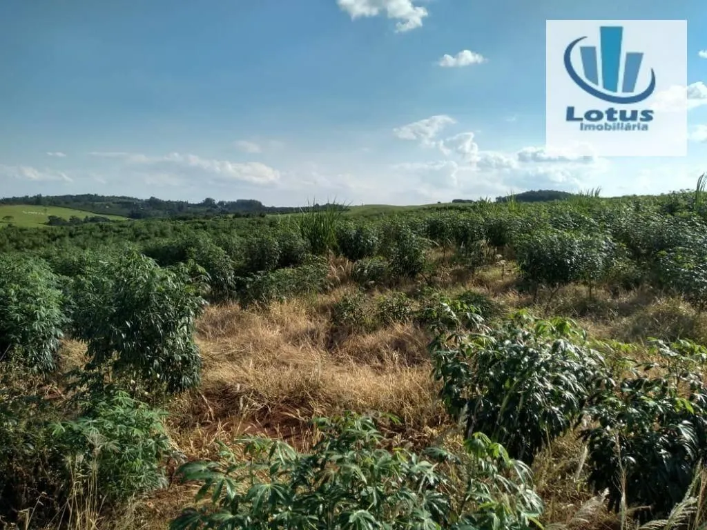 Fazenda à venda de 100 ha em Itapira, SP, Brasil