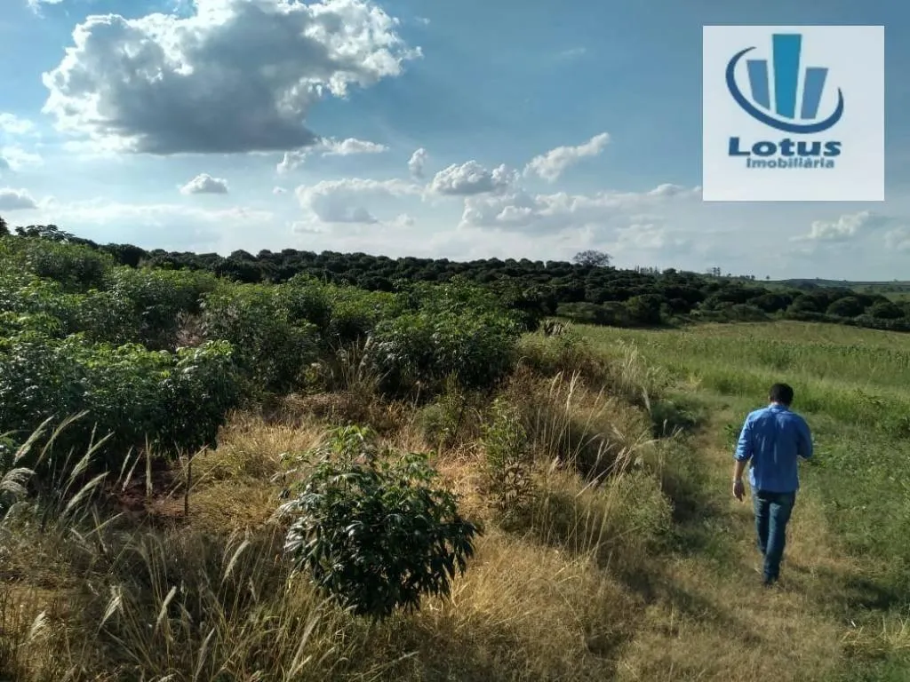 Fazenda à venda de 100 ha em Itapira, SP, Brasil