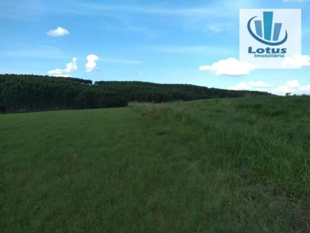 Fazenda à venda de 100 ha em Itapira, SP, Brasil