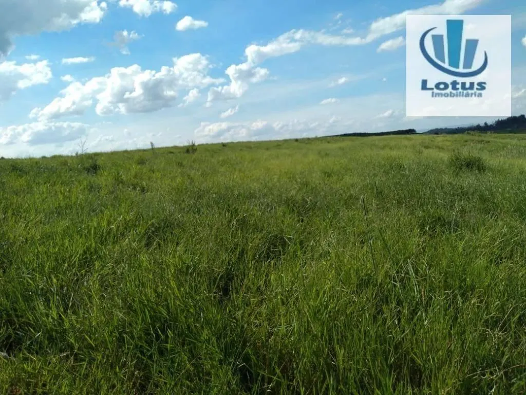 Fazenda à venda de 100 ha em Itapira, SP, Brasil