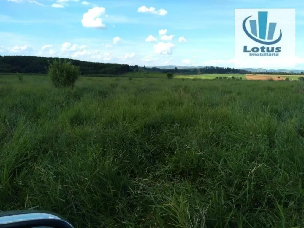 Fazenda à venda de 100 ha em Itapira, SP, Brasil