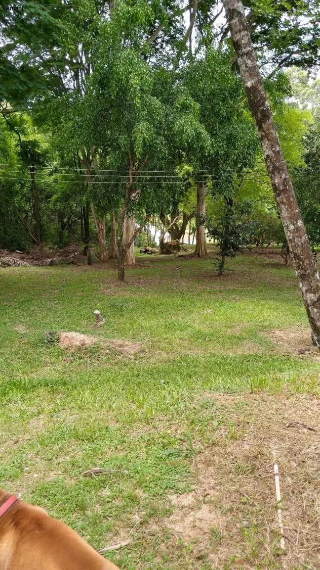 Sítio à venda de 25 ha em Porto Feliz, SP, Brasil