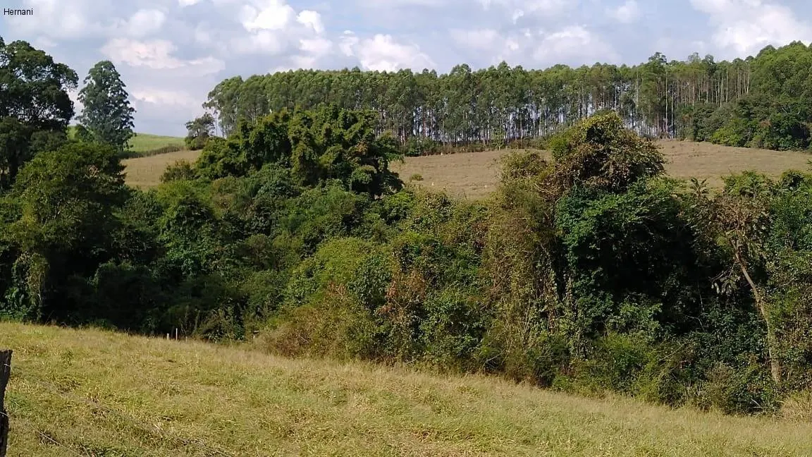 Sítio à venda de 25 ha em Porto Feliz, SP, Brasil