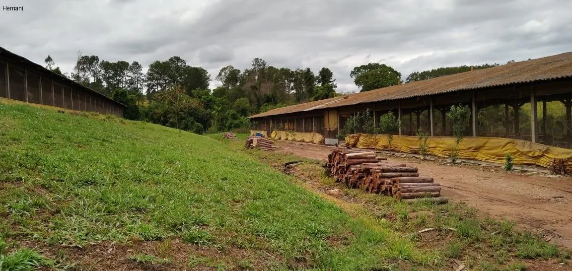 Sítio à venda de 25 ha em Porto Feliz, SP, Brasil