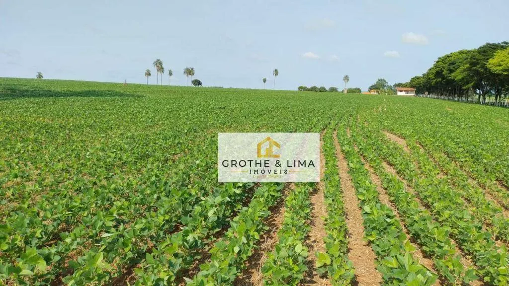 Fazenda à venda de 92 ha em Avaré, SP, Brasil