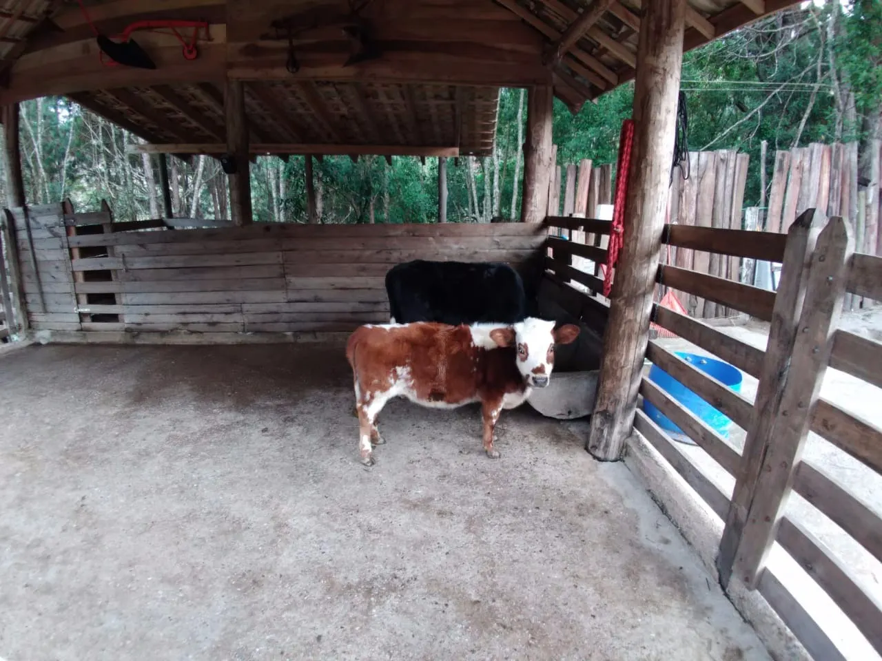 Chácara à venda de 3 ha em Natividade da Serra, SP, Brasil