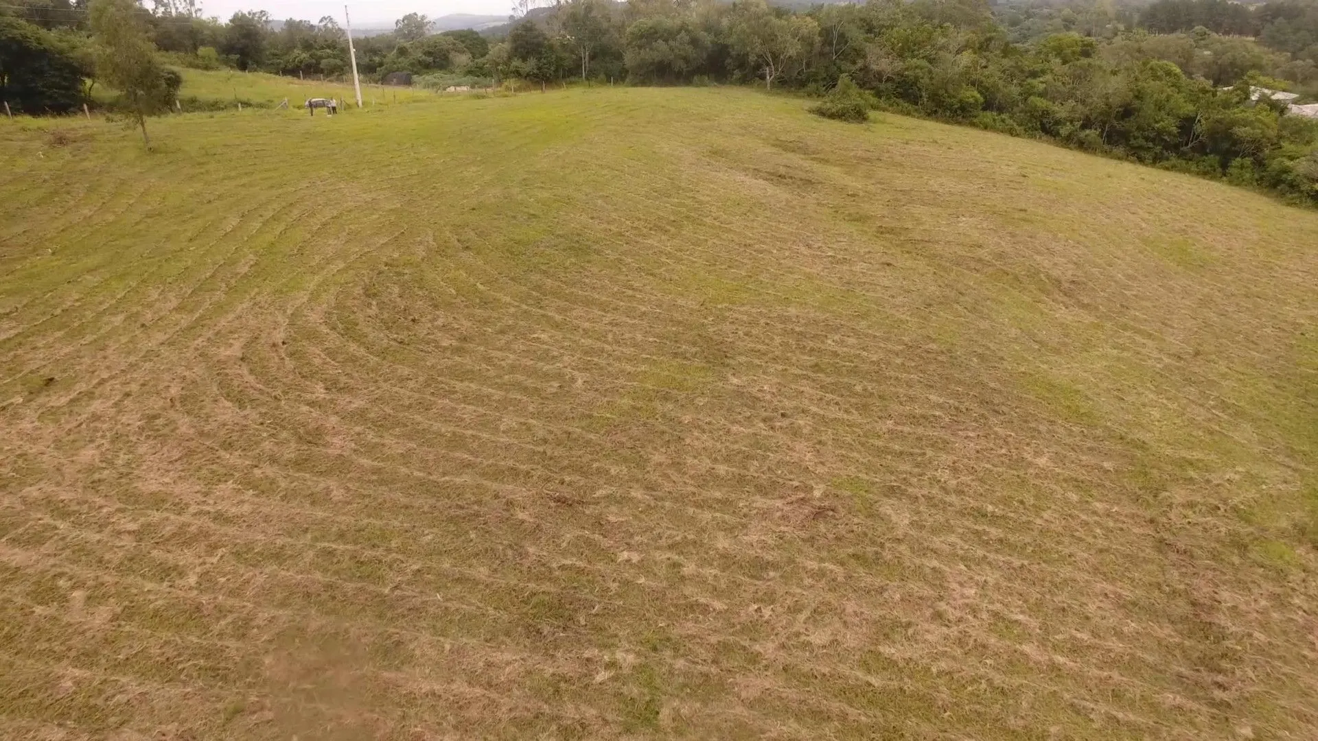 Chácara à venda de 8 ha em Taquara, RS, Brasil