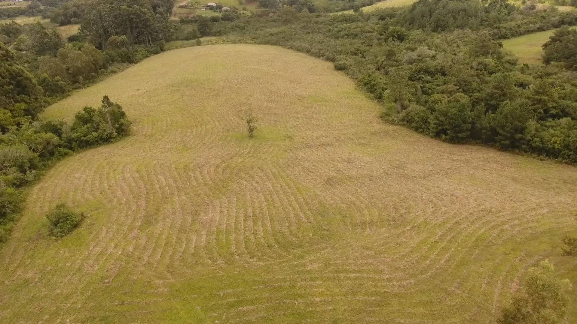Chácara à venda de 8 ha em Taquara, RS, Brasil