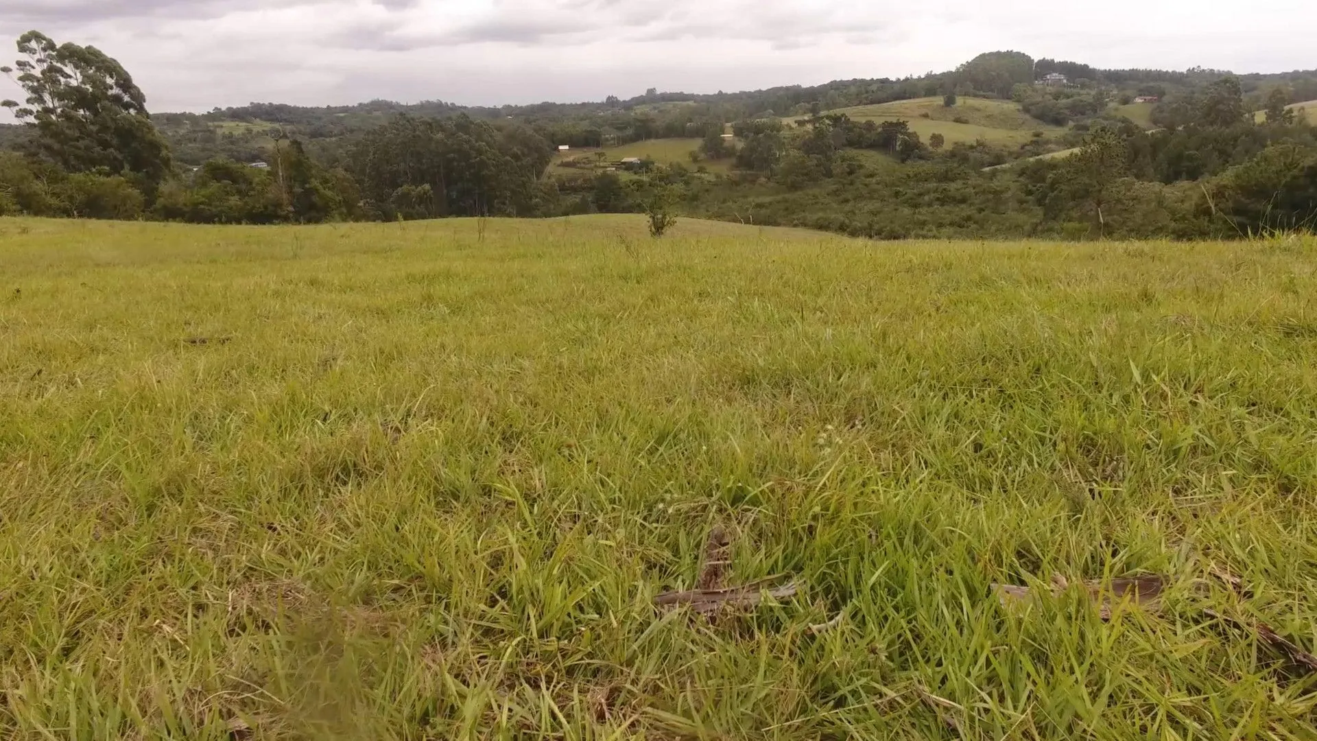 Chácara à venda de 8 ha em Taquara, RS, Brasil