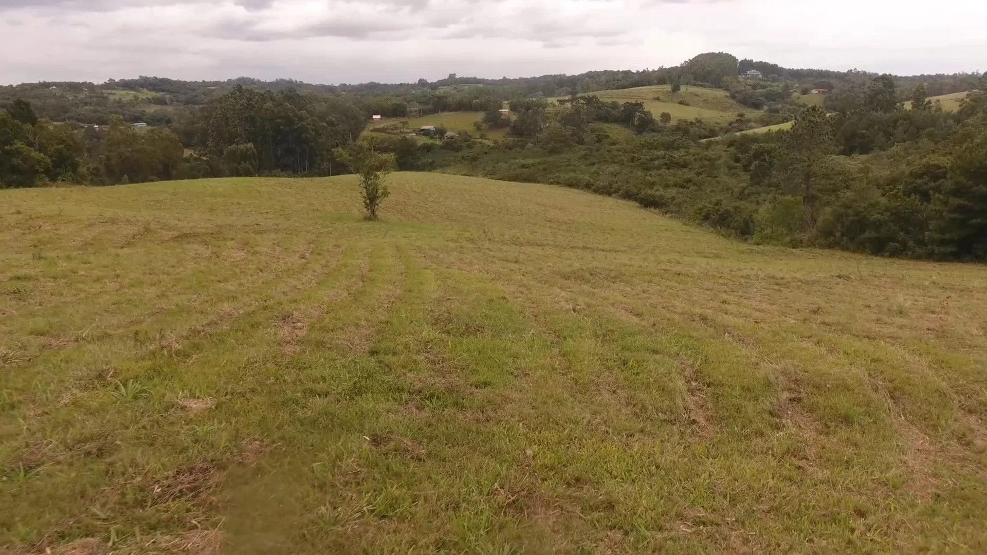 Chácara à venda de 8 ha em Taquara, RS, Brasil