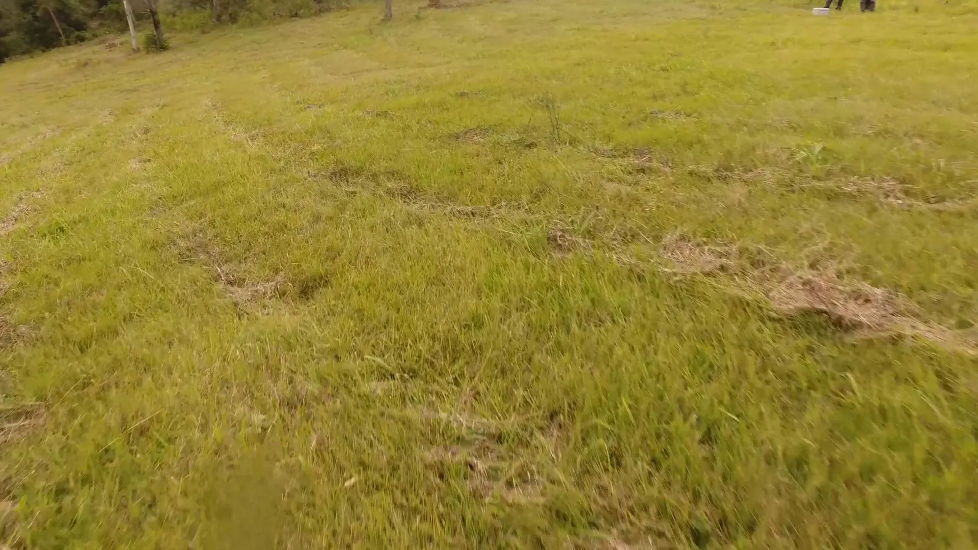 Chácara à venda de 8 ha em Taquara, RS, Brasil