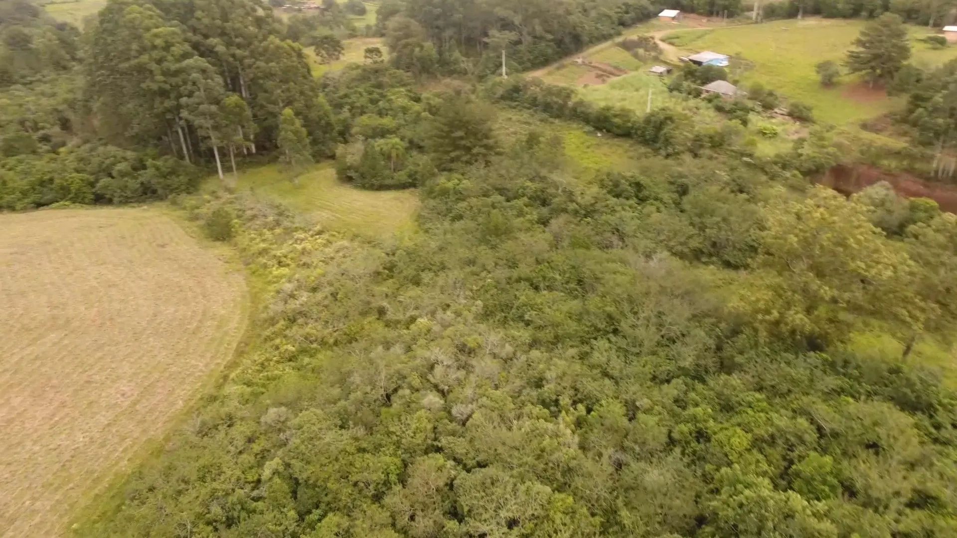 Chácara à venda de 8 ha em Taquara, RS, Brasil