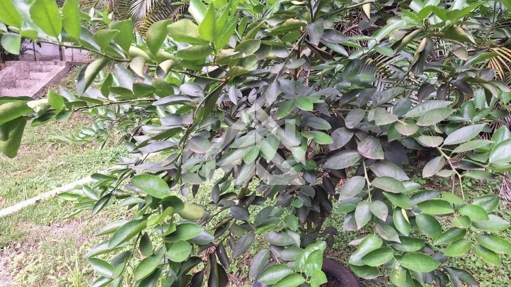 Chácara à venda de 868 m² em Rio Claro, SP, Brasil