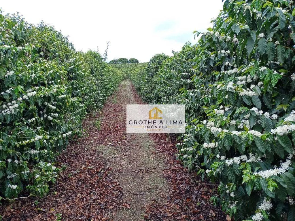 Farm for sale of 1,608 acres in Itapetininga, SP, Brazil