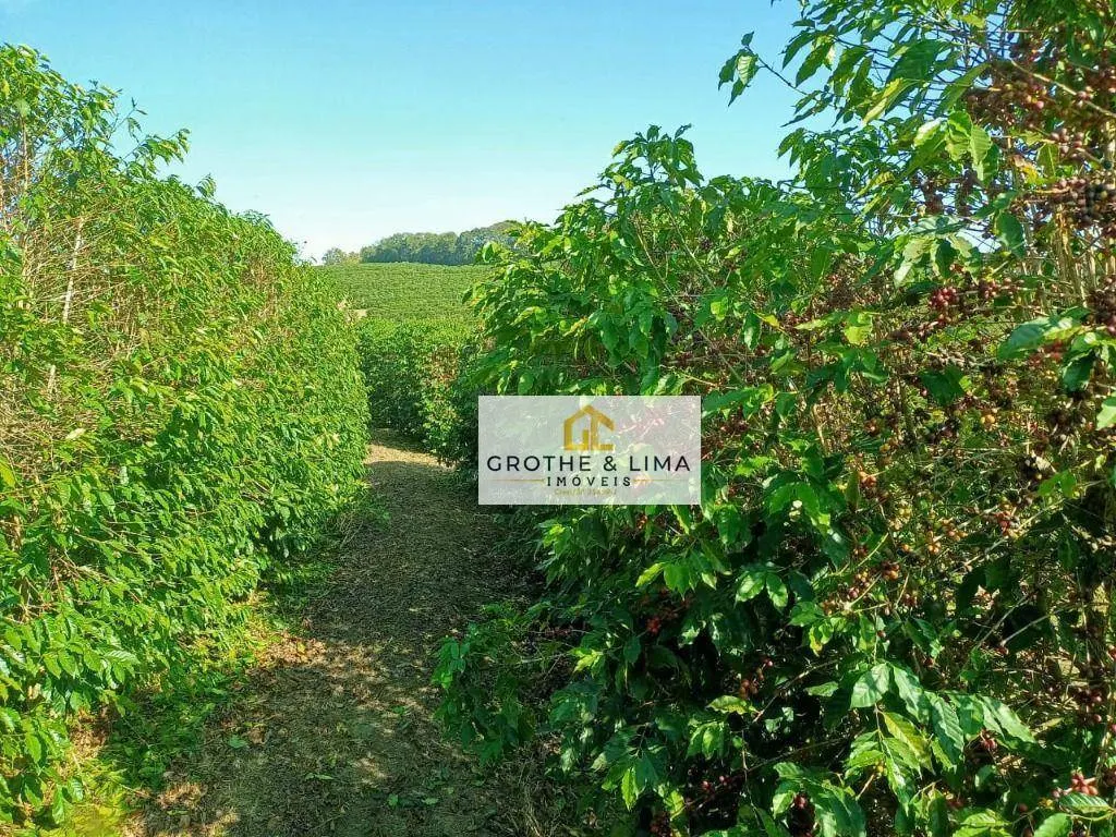 Farm for sale of 1,608 acres in Itapetininga, SP, Brazil