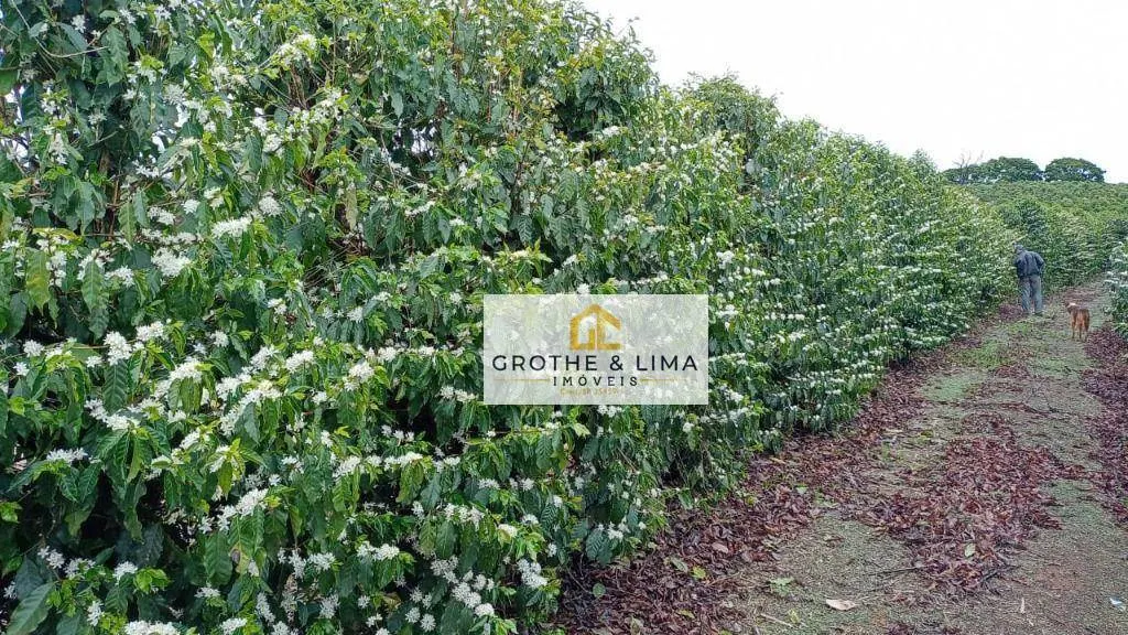Fazenda à venda de 651 ha em Itapetininga, SP, Brasil