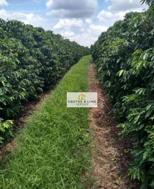 Farm for sale of 1,608 acres in Itapetininga, SP, Brazil