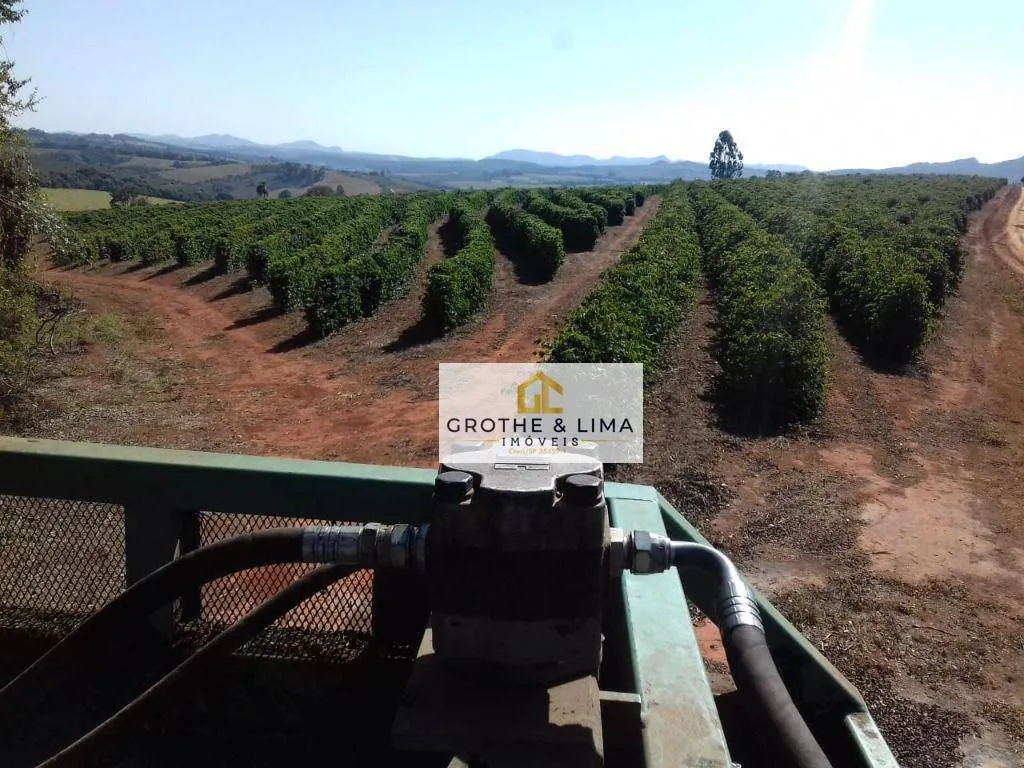 Farm for sale of 1,608 acres in Itapetininga, SP, Brazil