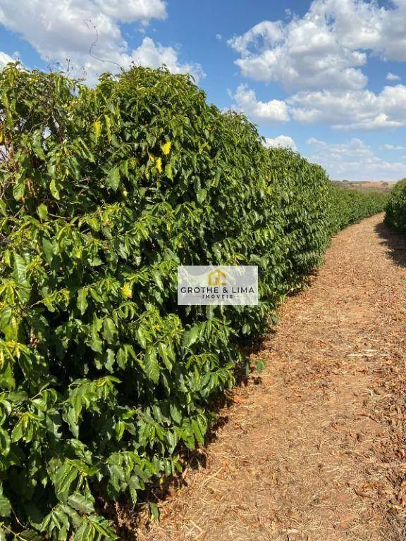 Farm for sale of 1,608 acres in Itapetininga, SP, Brazil
