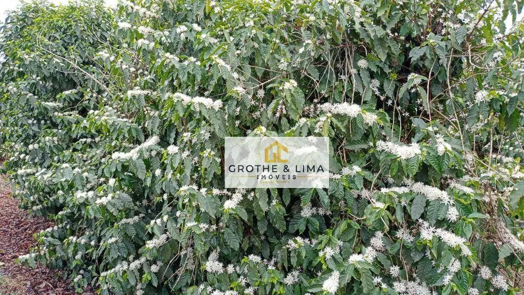 Farm for sale of 1,608 acres in Itapetininga, SP, Brazil