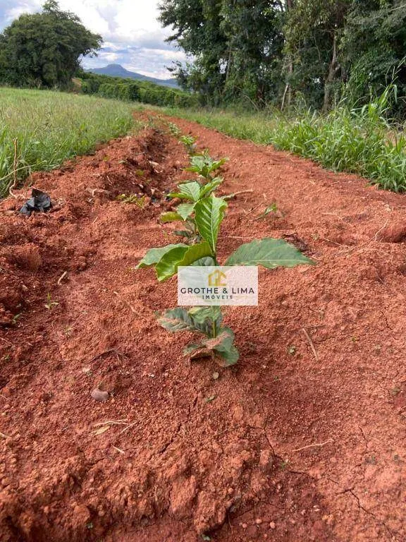 Farm for sale of 1,608 acres in Itapetininga, SP, Brazil