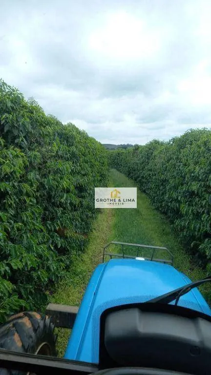 Farm for sale of 1,608 acres in Itapetininga, SP, Brazil