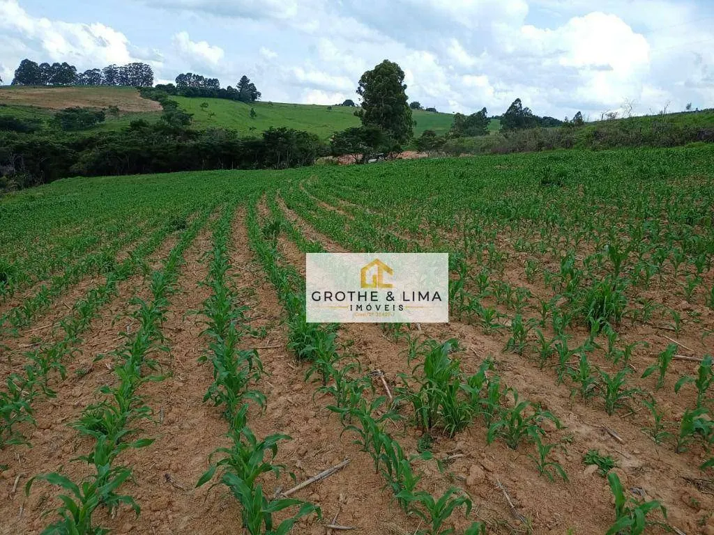 Farm for sale of 1,608 acres in Itapetininga, SP, Brazil