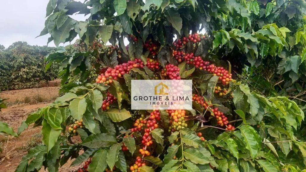 Farm for sale of 1,608 acres in Itapetininga, SP, Brazil