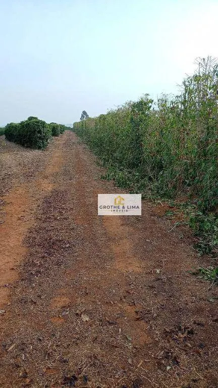 Farm for sale of 1,608 acres in Itapetininga, SP, Brazil