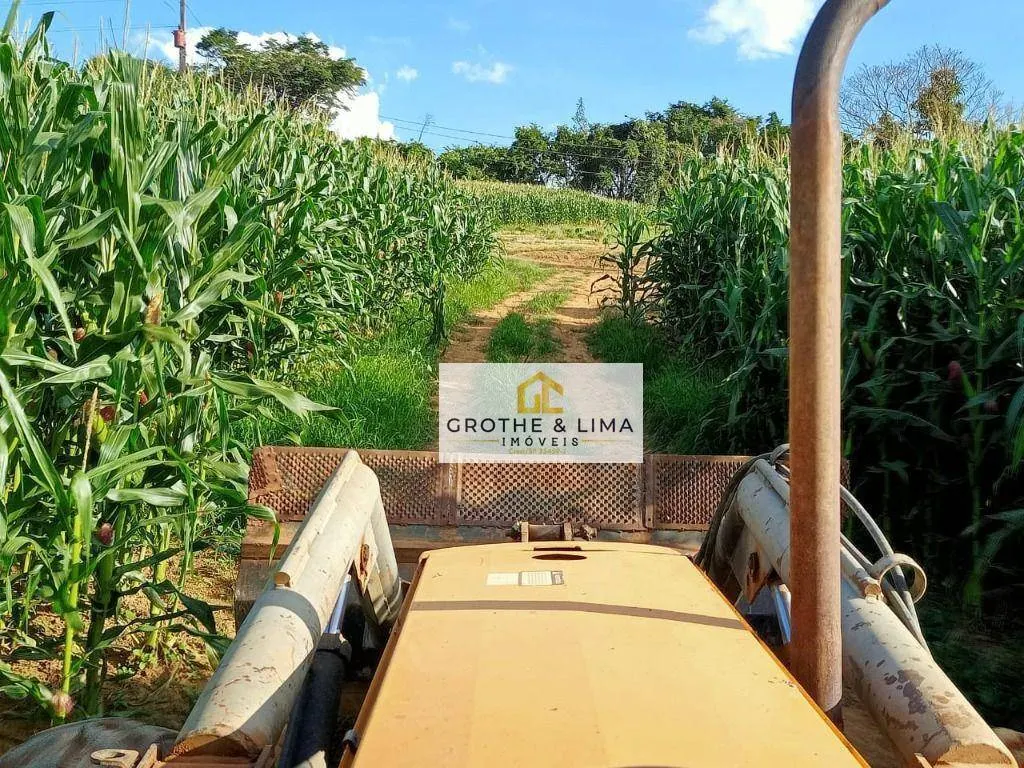 Farm for sale of 1,608 acres in Itapetininga, SP, Brazil