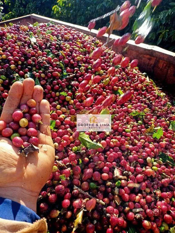 Farm for sale of 1,608 acres in Itapetininga, SP, Brazil