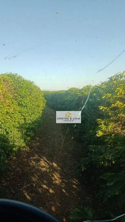 Farm for sale of 1,608 acres in Itapetininga, SP, Brazil
