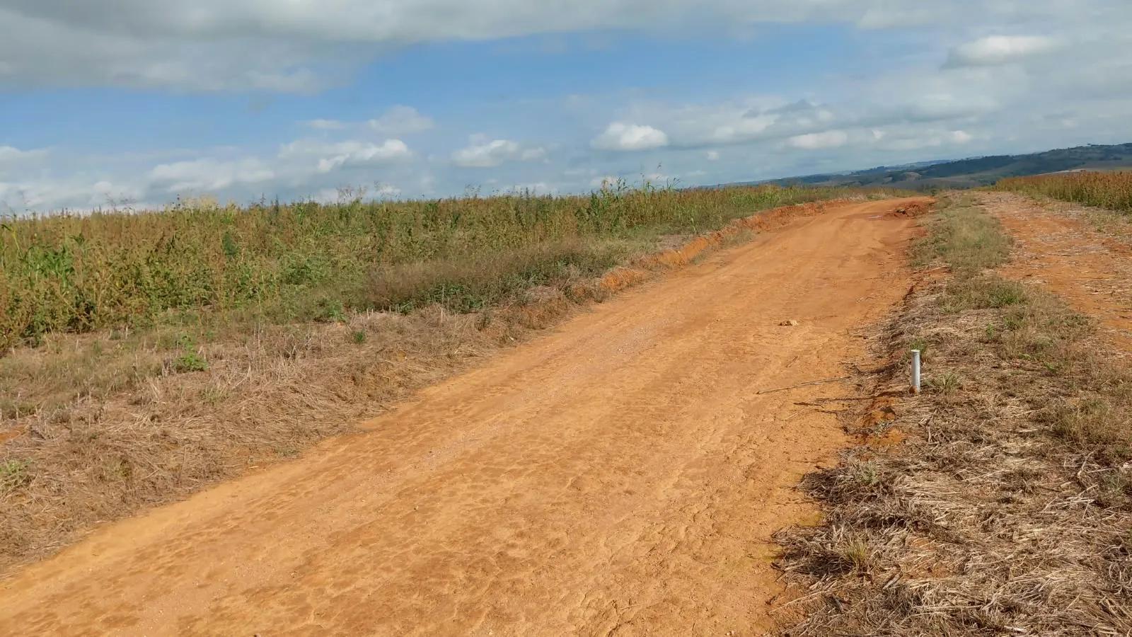 Fazenda para Arrendar de 66 ha em Ibiá, MG, Brasil