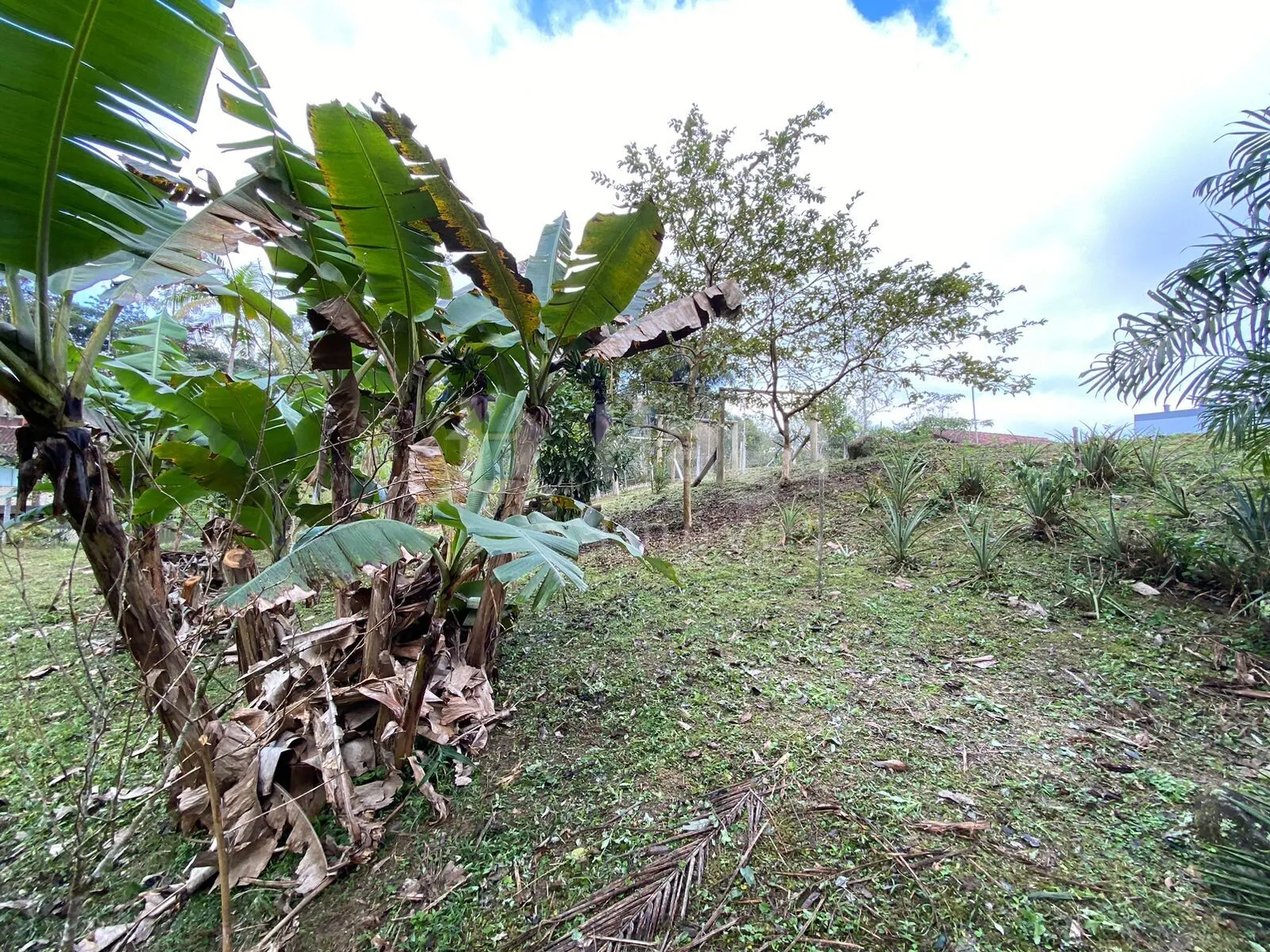 Fazenda à venda de 9.110 m² em Guabiruba, SC, Brasil