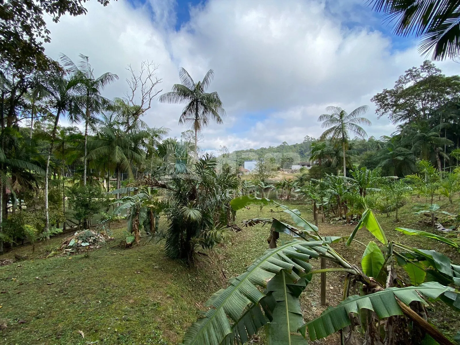 Fazenda à venda de 9.110 m² em Guabiruba, SC, Brasil