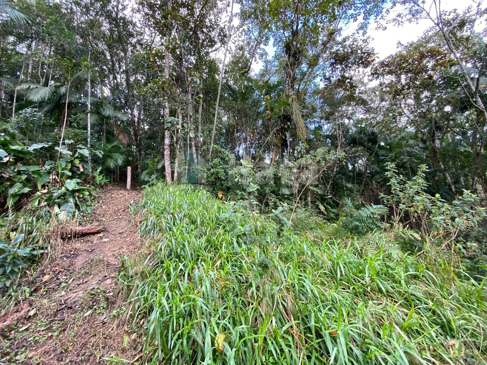 Fazenda à venda de 9.110 m² em Guabiruba, SC, Brasil