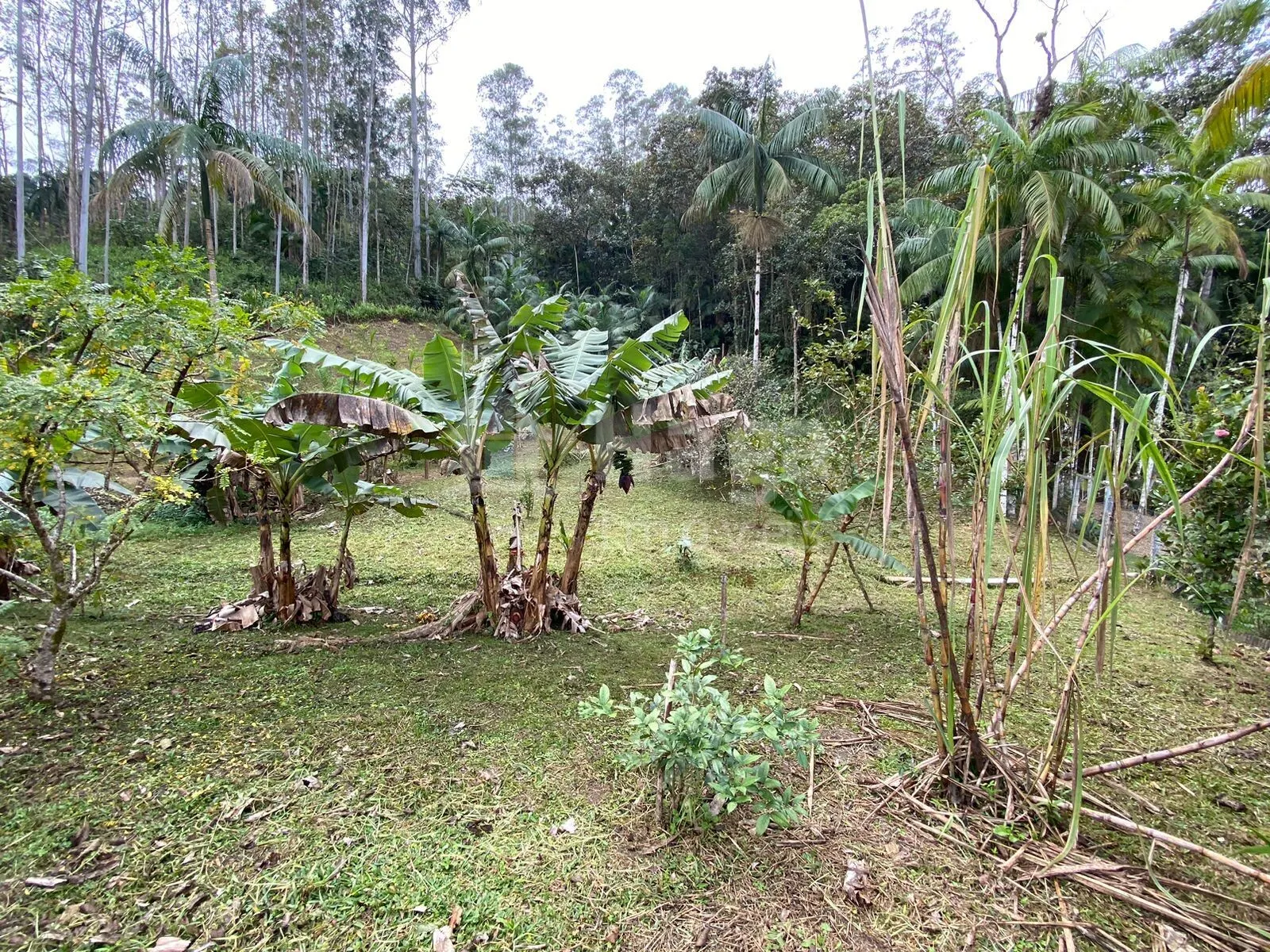 Fazenda à venda de 9.110 m² em Guabiruba, SC, Brasil