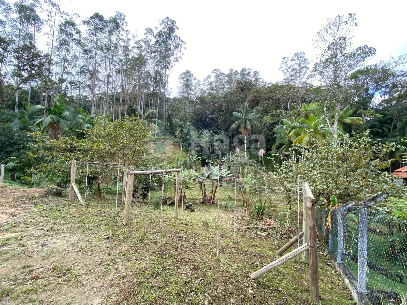 Fazenda à venda de 9.110 m² em Guabiruba, SC, Brasil