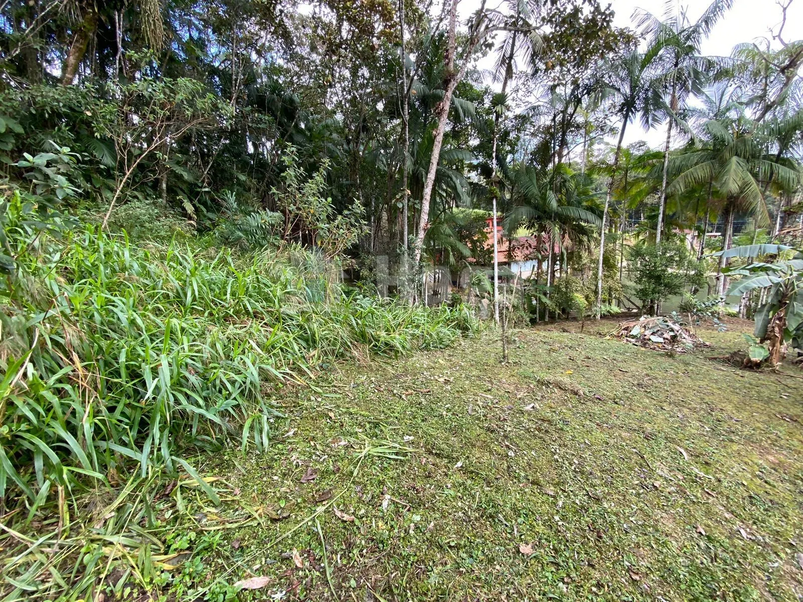 Fazenda à venda de 9.110 m² em Guabiruba, SC, Brasil
