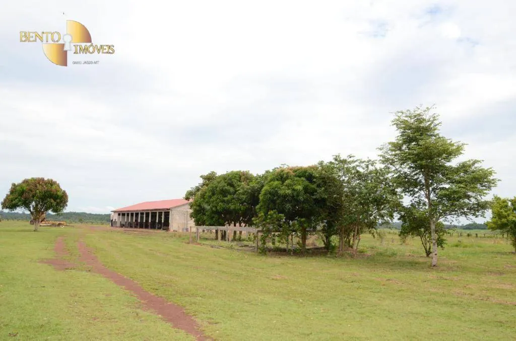 Fazenda à venda e para Arrendar de 36.771 ha em Peixoto de Azevedo, MT, Brasil