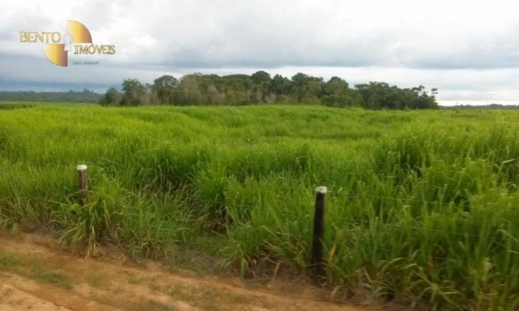 Fazenda à venda e para Arrendar de 36.771 ha em Peixoto de Azevedo, MT, Brasil