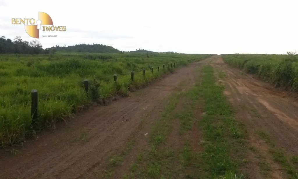 Fazenda à venda e para Arrendar de 36.771 ha em Peixoto de Azevedo, MT, Brasil