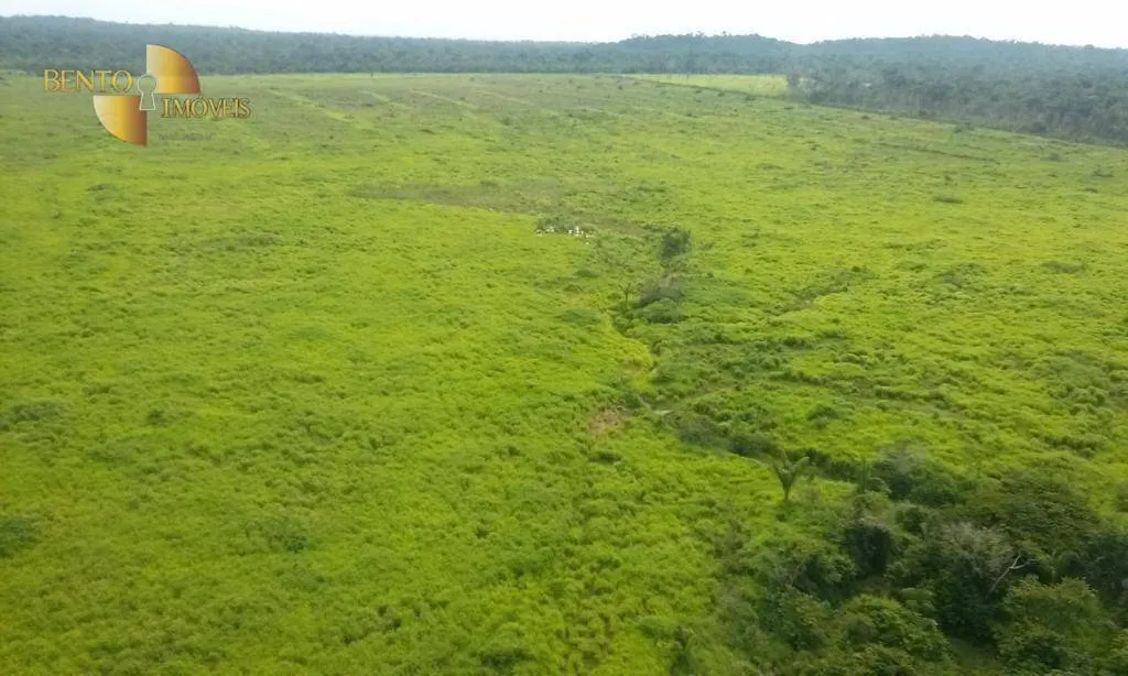 Fazenda à venda e para Arrendar de 36.771 ha em Peixoto de Azevedo, MT, Brasil