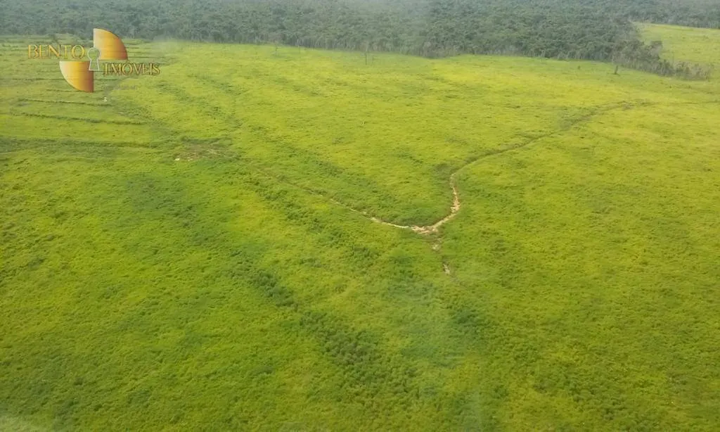 Fazenda à venda e para Arrendar de 36.771 ha em Peixoto de Azevedo, MT, Brasil