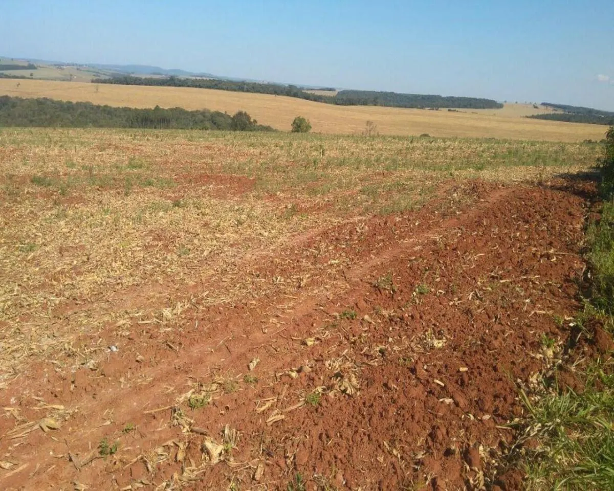 Fazenda à venda de 623 ha em Itapeva, SP, Brasil