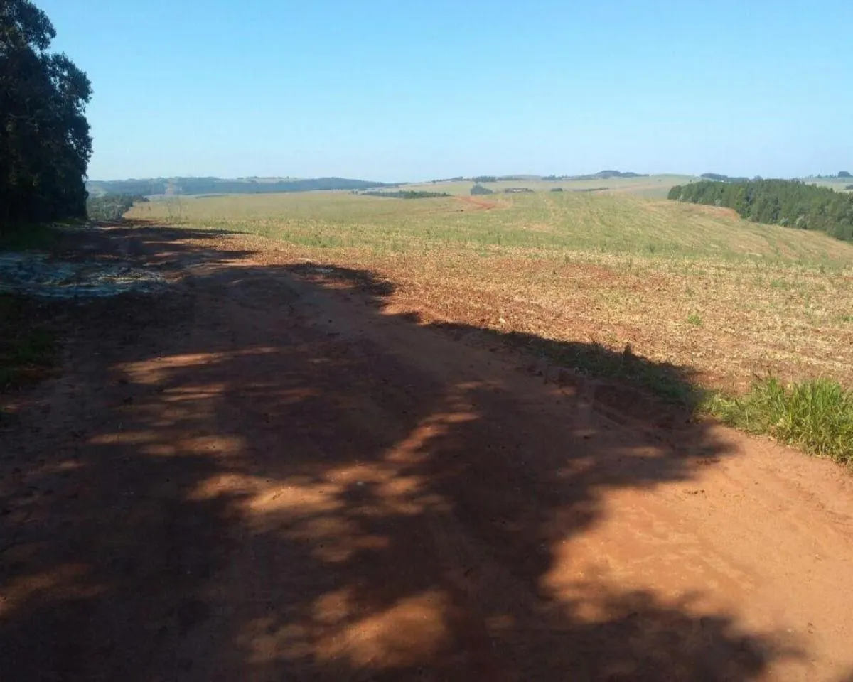 Fazenda à venda de 623 ha em Itapeva, SP, Brasil