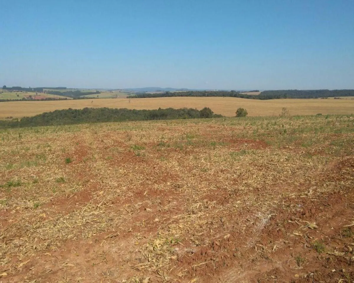 Fazenda à venda de 623 ha em Itapeva, SP, Brasil